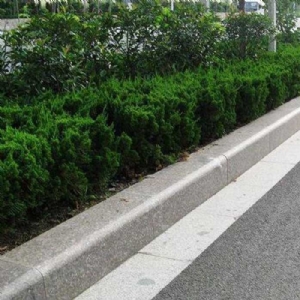 路沿石